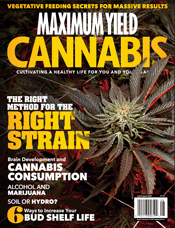 Maximum Yield Cannabis
